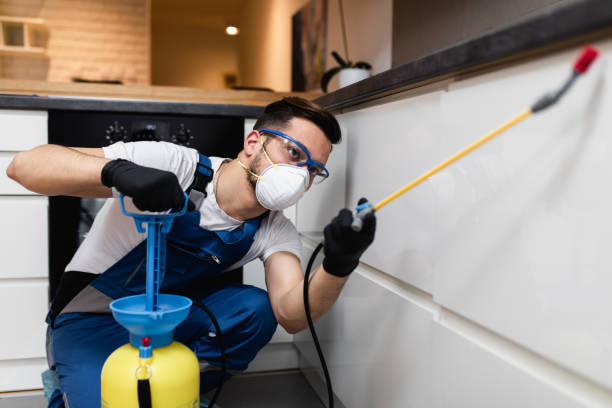 Best Cockroach Control Services  in Lakemore, OH