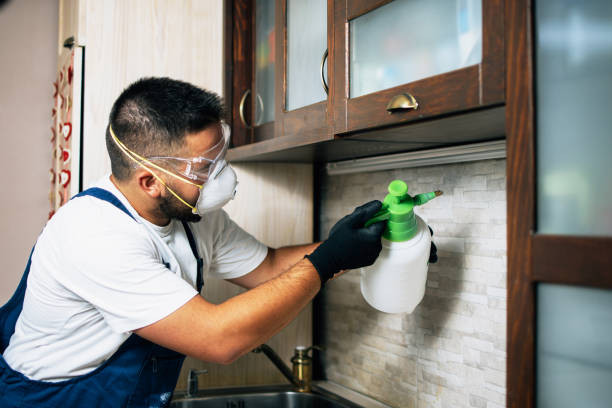 Best Pest Control for Restaurants  in Lakemore, OH
