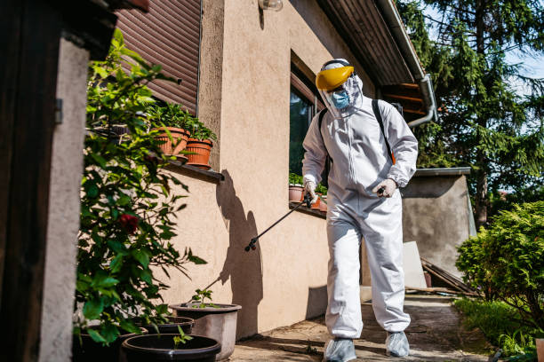 Best Best Pest Control Companies  in Lakemore, OH