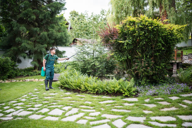 Reliable Lakemore, OH Pest Control Solutions