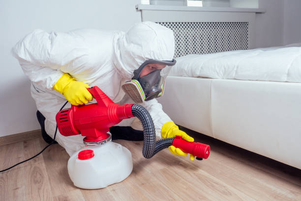 Best Bed Bug Extermination  in Lakemore, OH