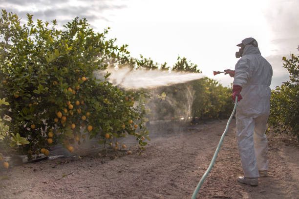 Best Pest Control Near Me  in Lakemore, OH
